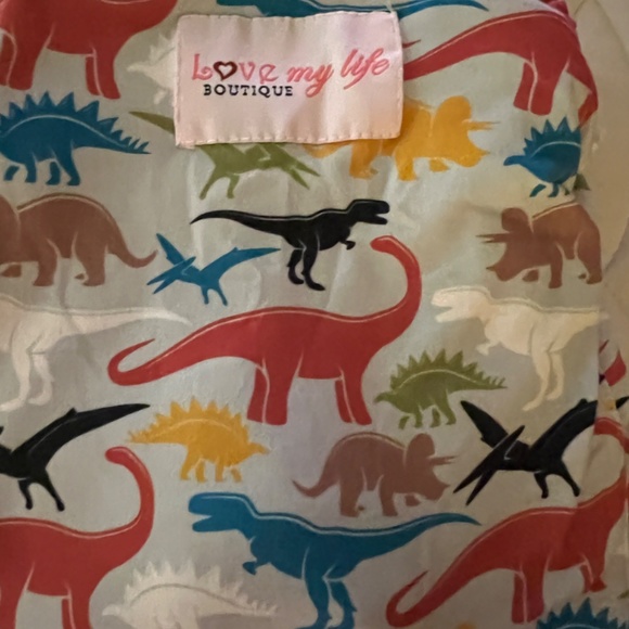 The One Cover infant car seat cover - Dino Roars - Picture 4 of 5